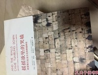 摇摇欲坠的哭墙读后感摘抄