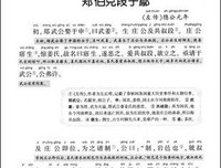 《八月的周日·缓刑》读后感锦集