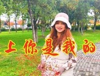 医龙-Team Medical Dragon读后感1000字