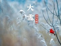 大雪芬芳，时光温柔