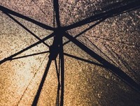 光影往样气都到的句子