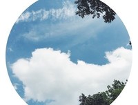 《加油大魔詹》的句子