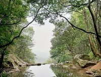 有关郭小波名言大全