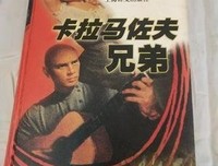 卡拉马佐夫兄弟（上下）读后感100字
