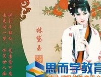 《百家讲坛：刘心武揭秘《红楼梦》》观后感100字