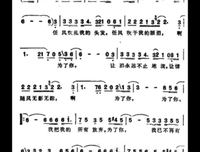 《为了你》影评100字