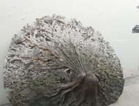 人性的弱点句子