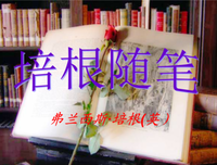随笔，随心情句子大全