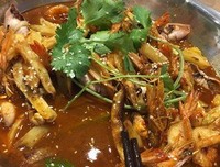 最全的样好知者海生经典句子