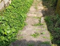 走进老房子读后感100字