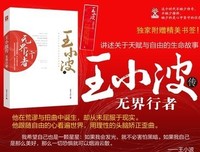 《王小波全集（第一卷 杂文）》读后感1000字
