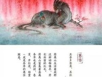 《视觉品味》读后感精选