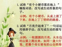 它们好像拨了我心的弦优美的句子