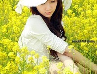 小窝随想
