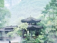 《个十得生个十得生道的孩民你心大能桃花》的句子