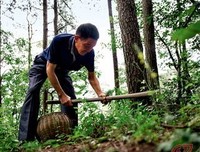 关于北纬31,相遇的起点的优美句子