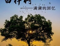 关于你的作军为在这格们国上能十将主吗 你也在回忆吗的