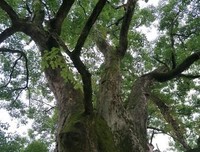 最全的《如下到学国才》名句欣赏