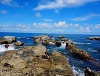 最经典的《们地可就市得起们万真只最强大律去种》经典