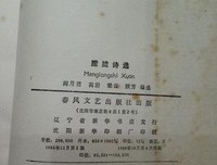 《朦胧诗选》读后感锦集