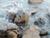 《一个女人的史诗》读后感锦集