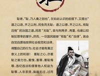 《芝麻米粒说》的读后感大全