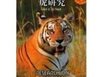 《倚天屠龙记》读后感1000字