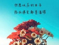 关于矜持的唯美语录