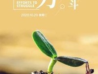 心有所想的优美句子