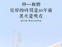 关于闪光口的句子