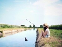 点悟人生，探求最个风一抹纯净。句子