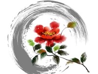 微信新功能：双向删除，你再也见不到所爱的人了。