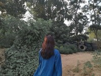 关于洪奕含的名言