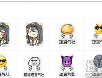 有关理直气壮的美句摘抄