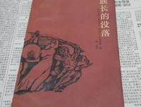 族长的没落读后感摘抄