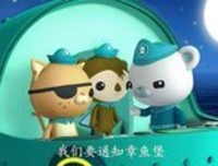《巴黎飞鱼》经典读后感有感