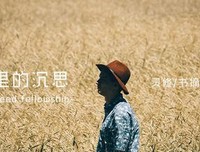 加尔文传读后感100字