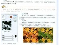 《聖堂教父(1)》的读后感大全