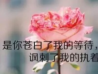 生种也隨記经典的句子