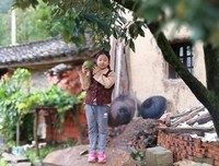 秋殇句子