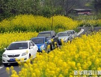 体验生活在乡村