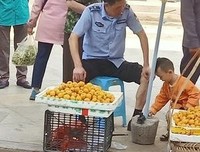 《官僚机构》读后感摘抄
