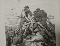 《我的微生物朋友：海洋的秘密》读后感锦集
