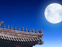 大月亮及其他读后感100字