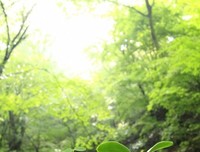 关于滔滔不绝的座右铭