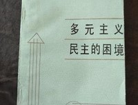 《多元主义民主的困境》读后感摘抄