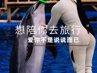 说说张桂梅成时代楷模，教育的定力最重要