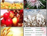 关于情实之以堪的优美句子