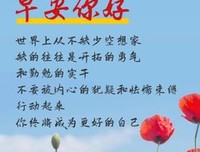 我的看当年西心句子大全