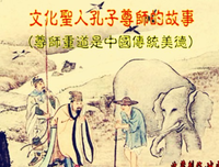 最全的《你的教养价值千万》经典语录
